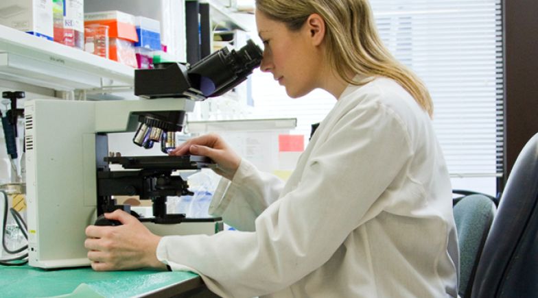 A female scientist in a laboratory looks through a microscope